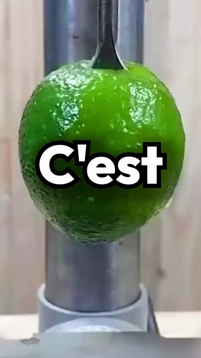 Cette expérience est-elle possible ?
