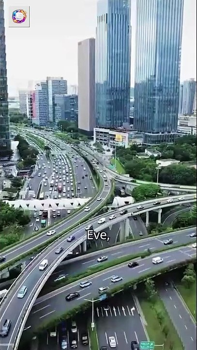 Divorce Lawyer Married By Mistake