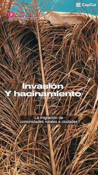 🏘️ Colonias saturadas y terrenos invadidos así se refleja la migración del campo a la ciudad en Durango 👨🏻‍🌾🚜