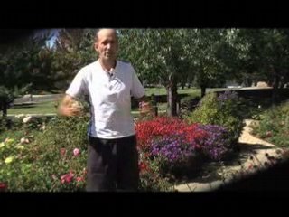 How to Reduce Your Cell Phone Risks www.mercola.com