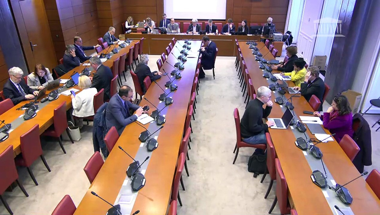 Commission des finances : M. Daniel Gutmann et Mme Félicie Bonnet sur l’imposition minimale des entreprises (pilier 2 de l’OCDE) ; Nomination par la Présidente de l’Assemblée nationale de Mme Emmanuelle Auriol et M. Denis Duverne - Mercredi 25 mars 2026