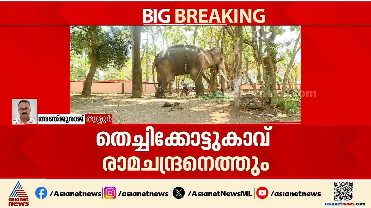 തൃശ്ശൂർ പൂരം;ഇത്തവണ തെച്ചികോട്ടുകാവ് രാമചന്ദ്രൻ ചെമ്പുക്കാവ് ഭഗവതിയുടെ തിടമ്പേറ്റും| Thrissur Pooram