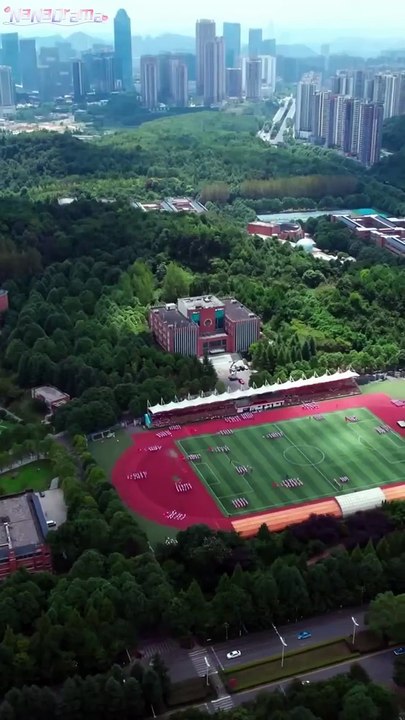 Rural girl saves lady but is humiliated,until her identity revealed,all dropped to knees!