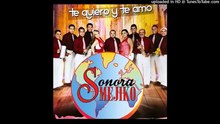 Los Hijos Del Señor Vs Sonora Mejiko - Mix