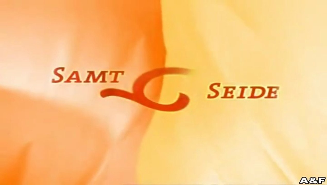 Samt.und.Seide -025- Entscheidungsfehler