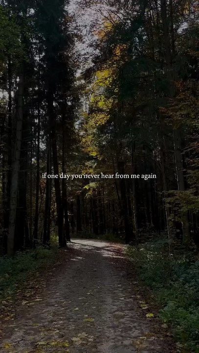 If You Never Hear From Me Again