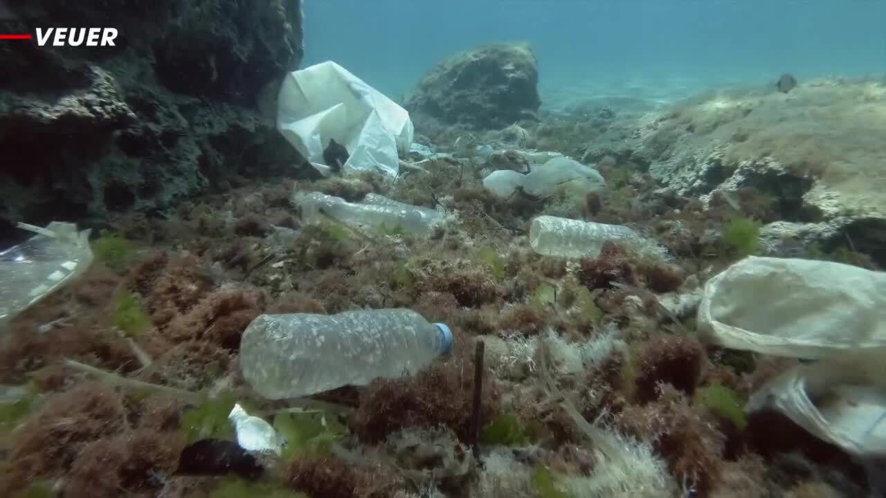Rice-based, low-carbon plastic near Fukushima offers farmers a second chance