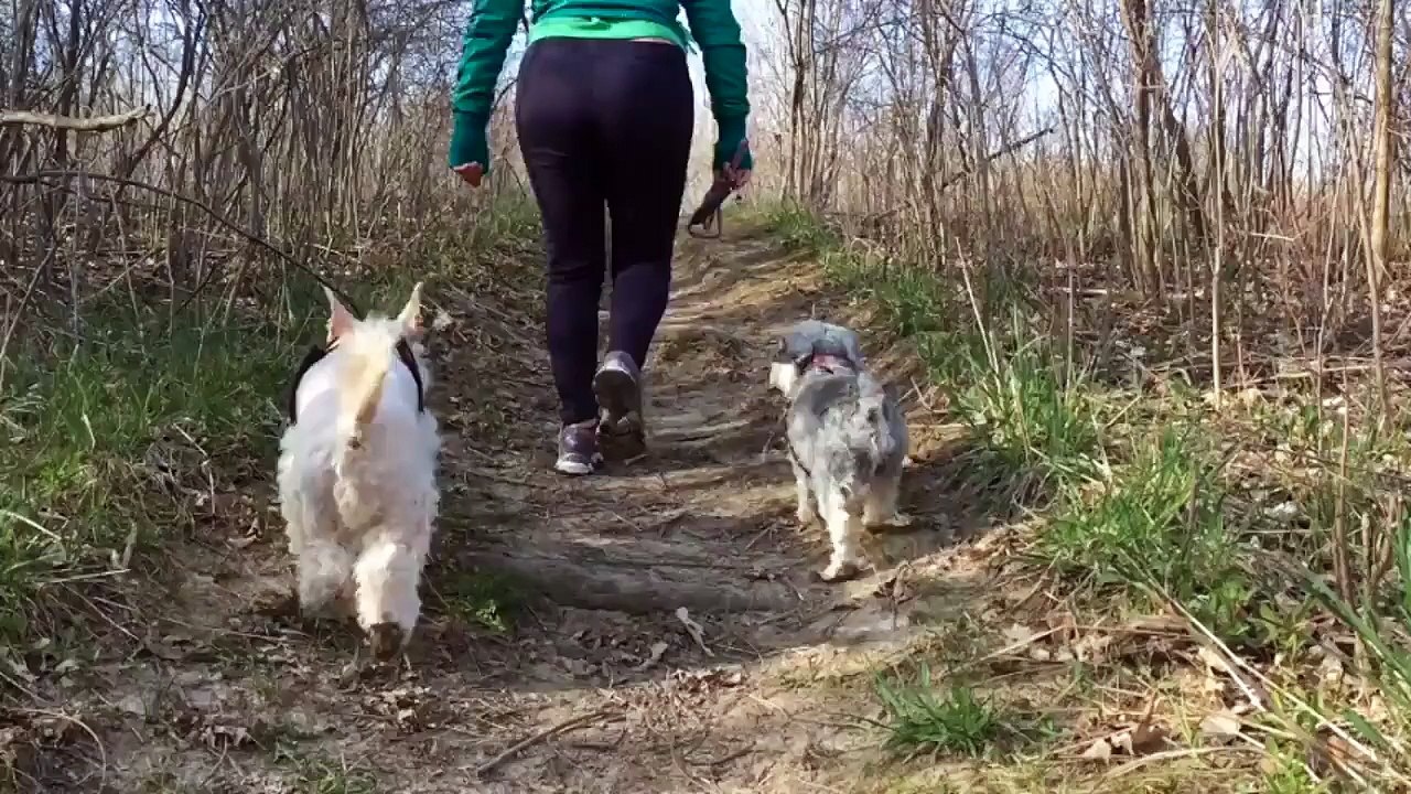 A Daily 11-Minute Walk Could Boost Lifespan, Study Finds