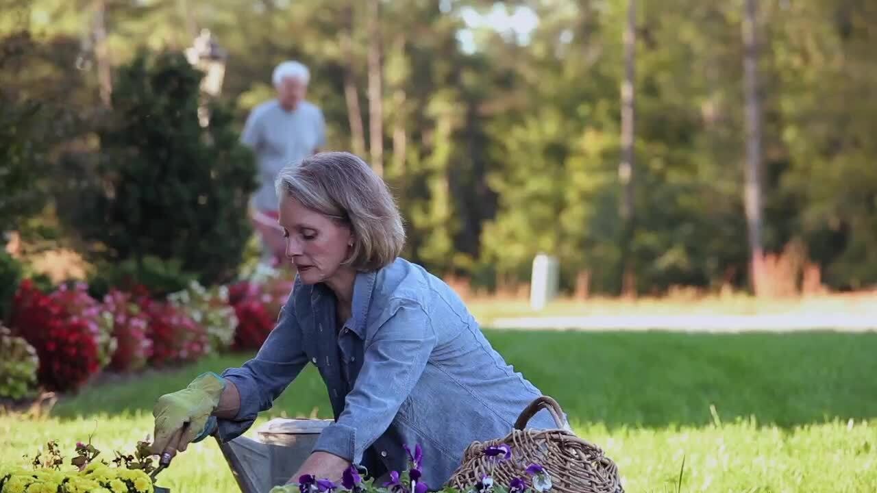 States Map Out Plans for an Aging Population