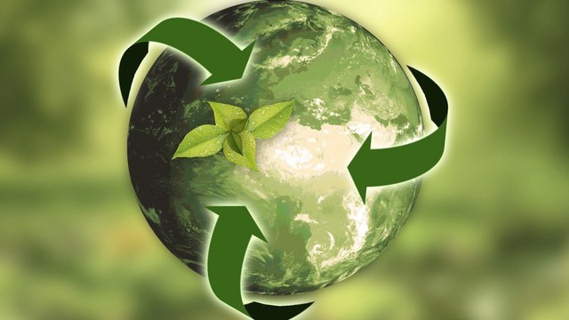 How Retailers Reward Recycling to Encourage Reuse and Reduce Waste