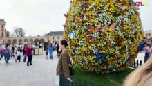 Frühlingszauber in Schönbrunn  Der Oster- & Frühlingsmarkt ist eröffnet