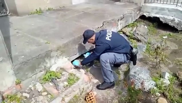 Il video dei controlli antidroga a Catania, in via Capo Passero trovate diverse dosi di stupefacente