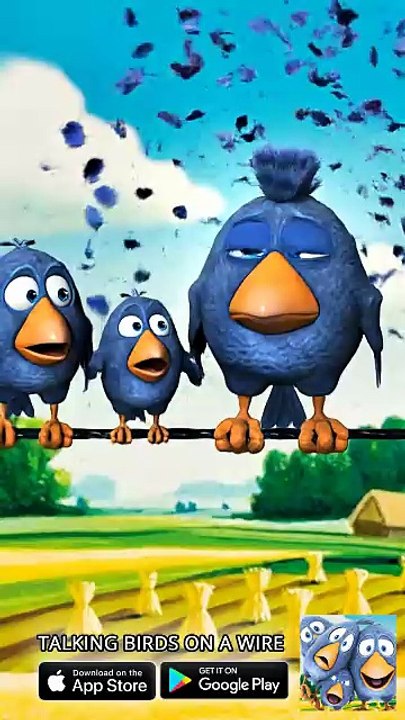 Never let your bro cut your hair 😂✂️ Talking Birds On A Wire Game
