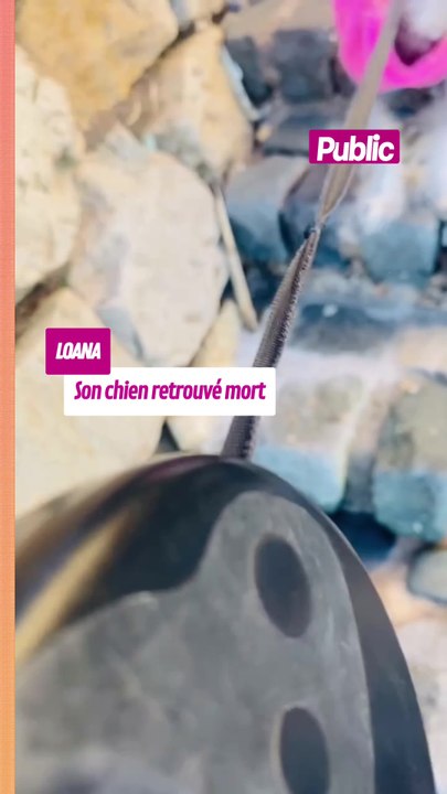 Titi, le chien de Loana retrouvé mort