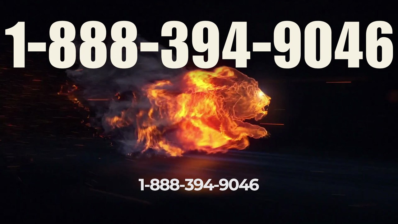 25】℠ Connect Number For QuickBooks Desktop Support