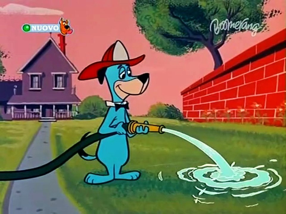 Braccobaldo 10