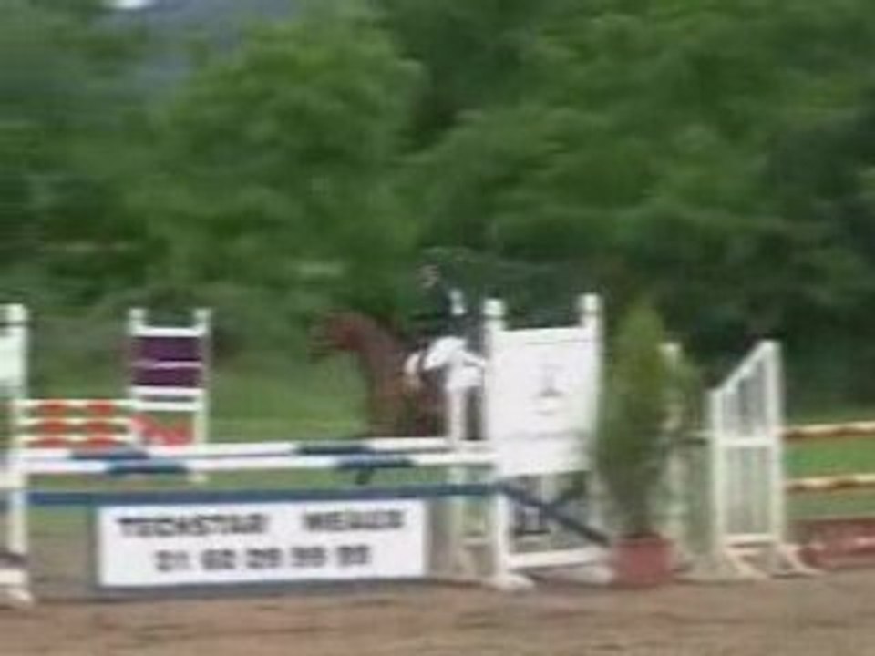 Montage CCE Meaux 2008 CSO