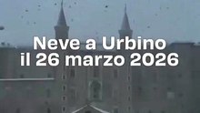 Neve a Urbino il 26 marzo 2026: video