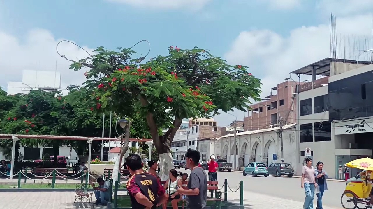 ESTADÍA PERÚ DEL 10 FEBRERO AL 12 MARZO 2026   VID_20260222_113852