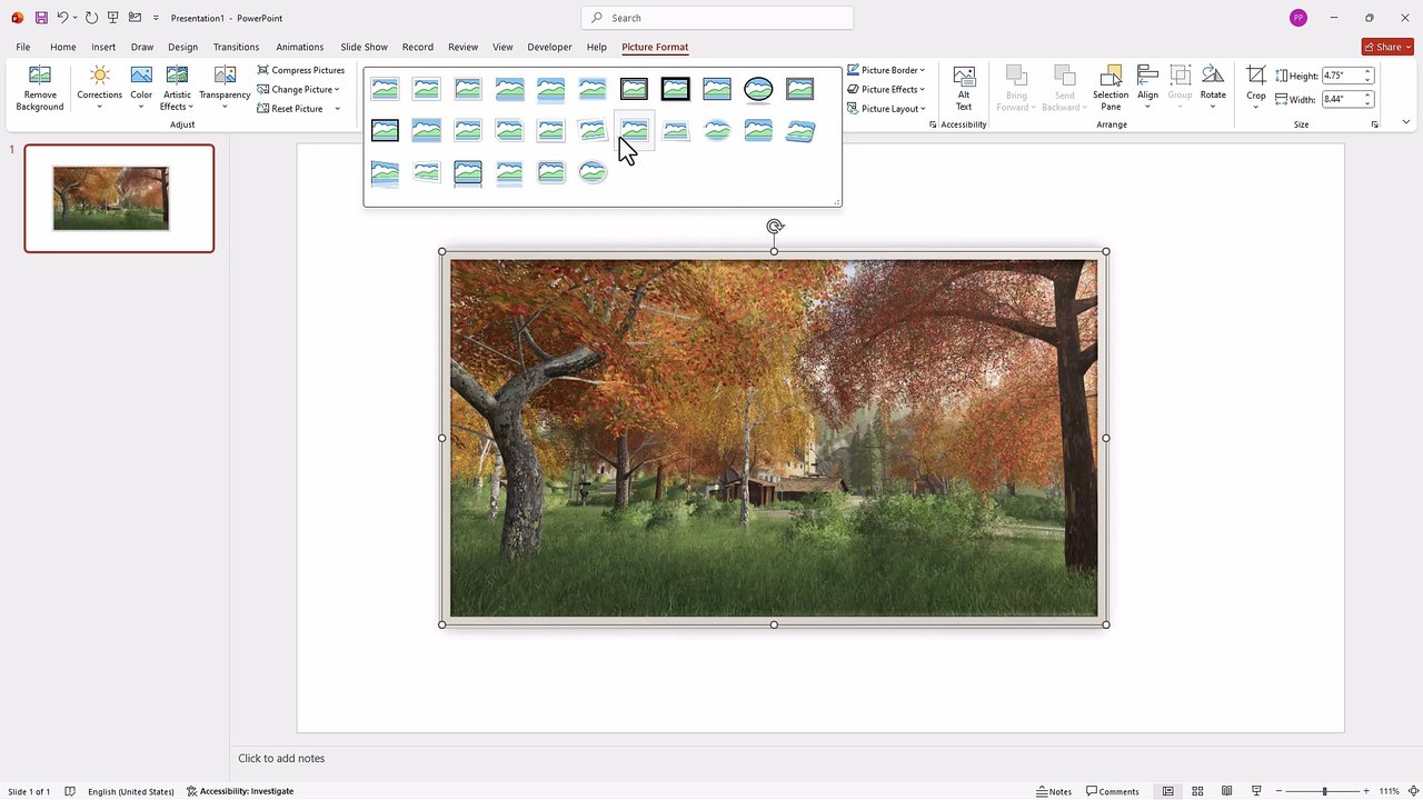 MS PowerPoint 19 Picture Styles