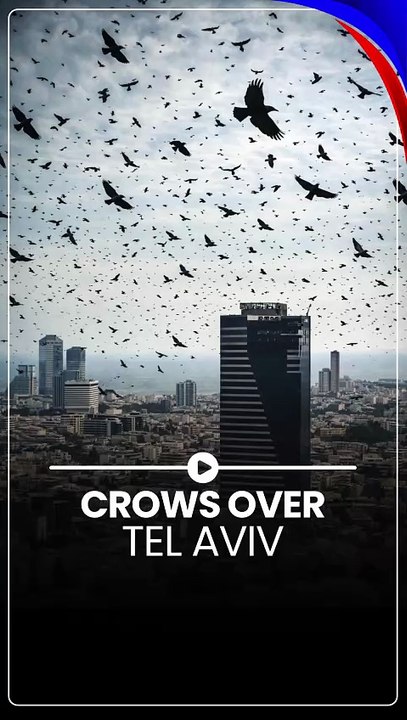 Crows Swarm Tel Aviv Skies | Viral ‘Doomsday Sign’ or Natural Phenomenon?