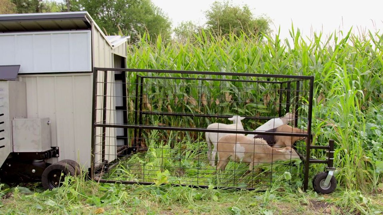 Food, Inc. 2 Trailer DF