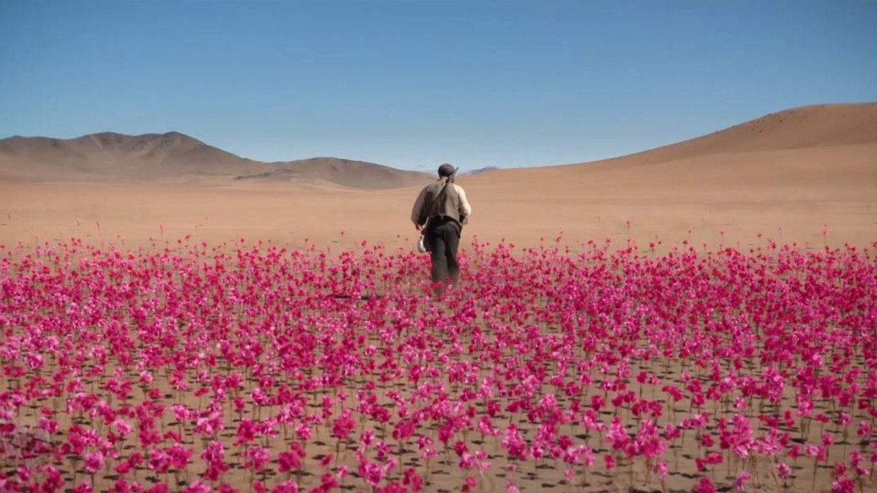 Das Geisterhaus Trailer OmeU