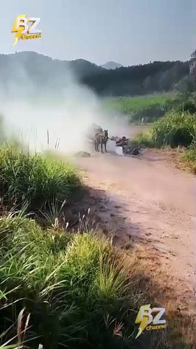 Exiled, Armed, And Unstoppable