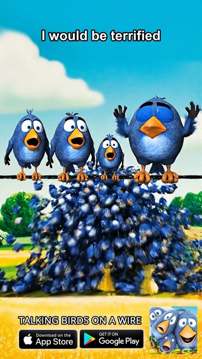 The ultimate bird tsunami! 🌊 Talking Birds On A Wire Game