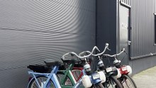 Solex multicolores