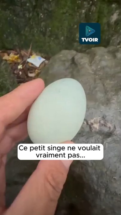 Il ne pouvait pas être plus clair… 😭😅