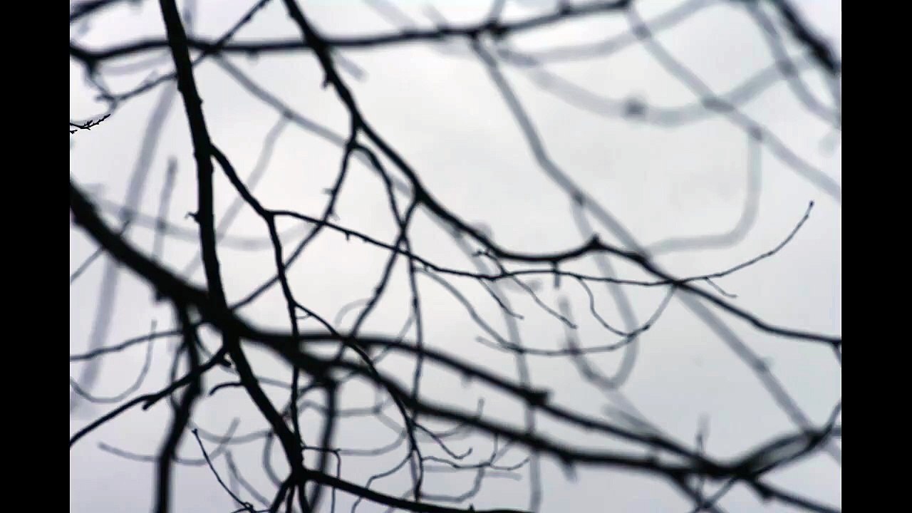 Aus tiefer Not, Choral variations improvised in style of J.S.Bach