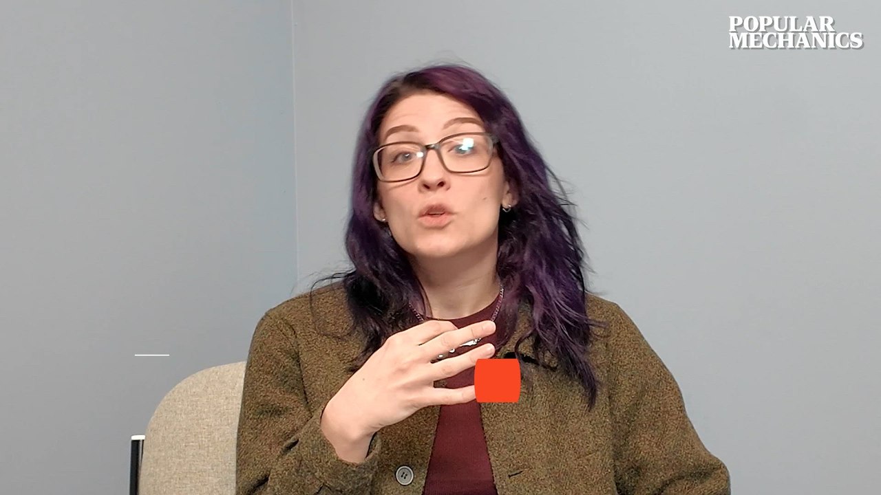 Why Cats Always Land Perfectly