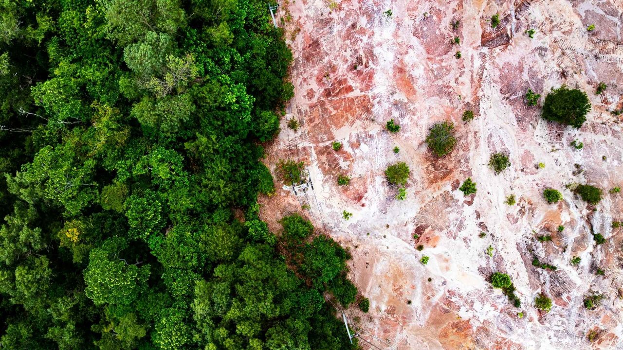 Unión Europea aplaza norma clave contra la deforestación: impacto directo en exportaciones colombianas