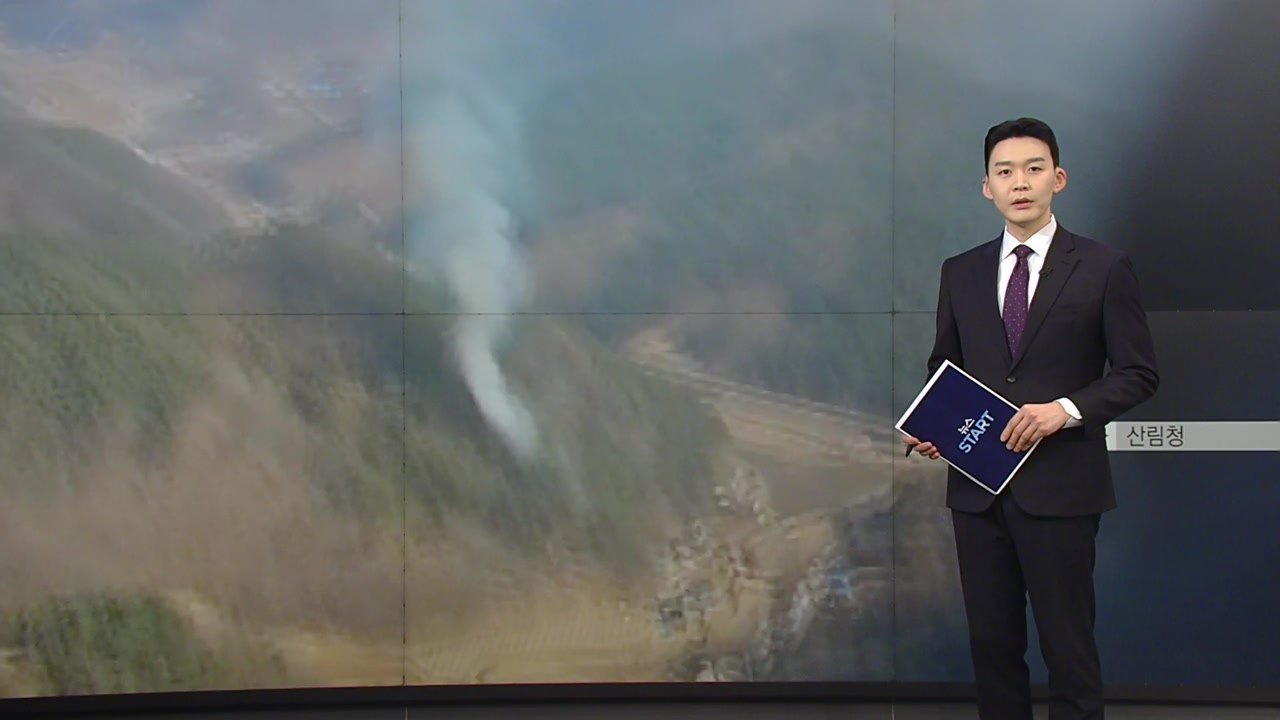 충북 단양에 산불...1시간여 만에 주불 진화 완료 / YTN