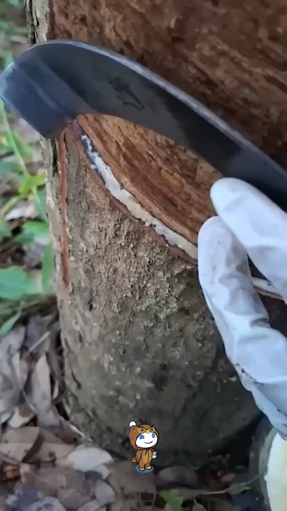 Qu’est-ce que tu aurais fait toi ?