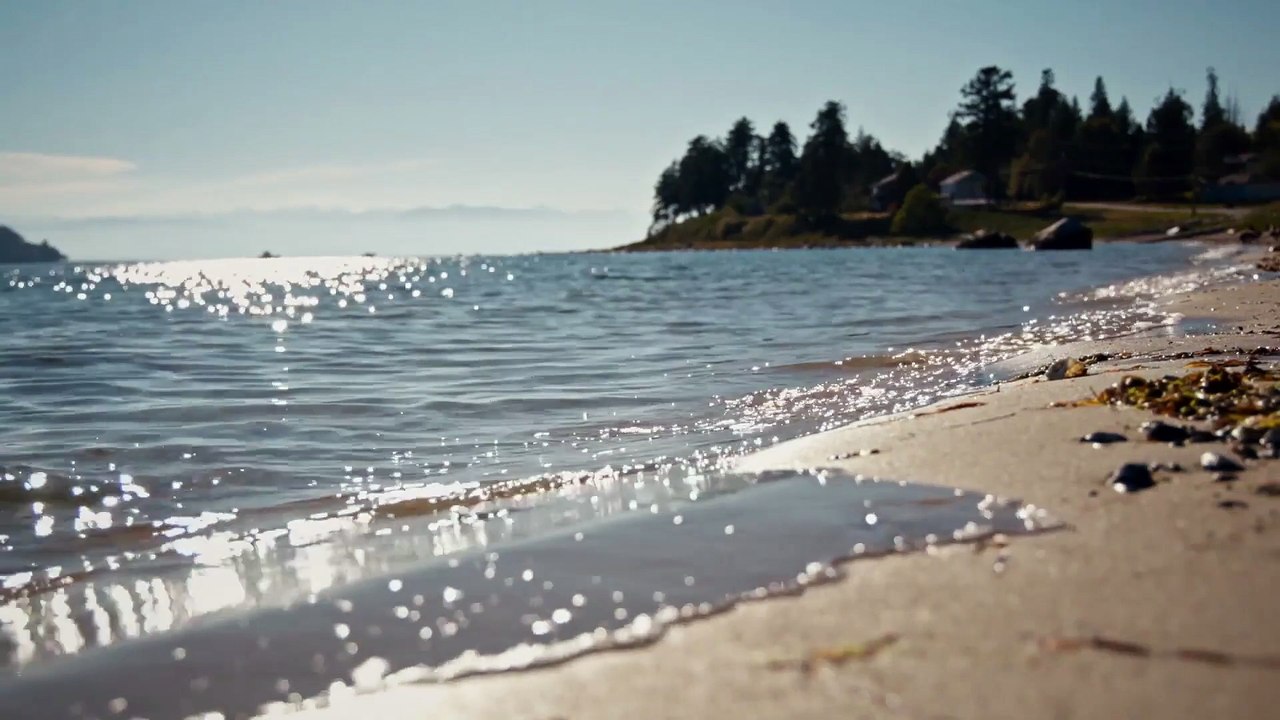 Namesake Documentary Movie