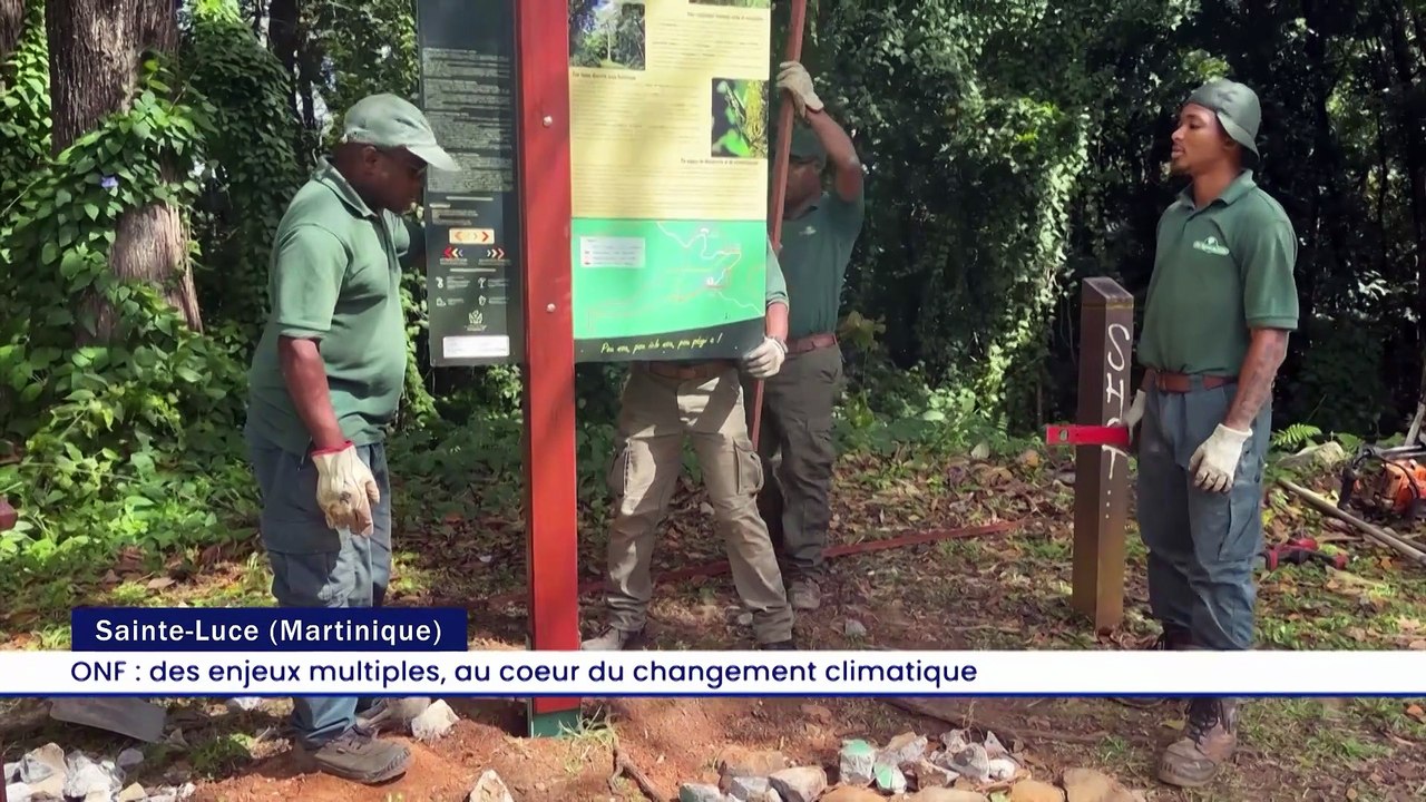 Le Grand J.T. des Territoires du 28 mars 2026
