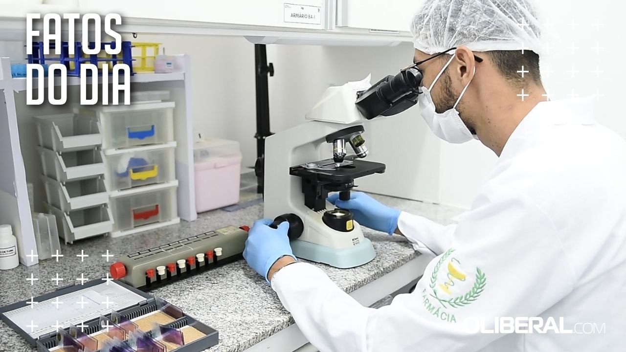 Frutos da Amazônia inspiram desenvolvimento de medicamentos acessíveis em pesquisas da UFPA