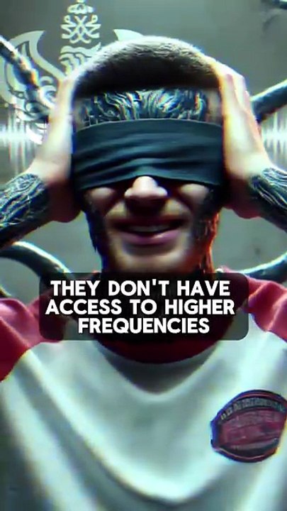 Shaykh Nurjan Mirahmadi -The bird box