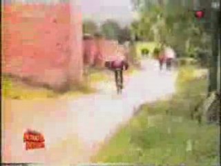 Funny + Credit Cards Now