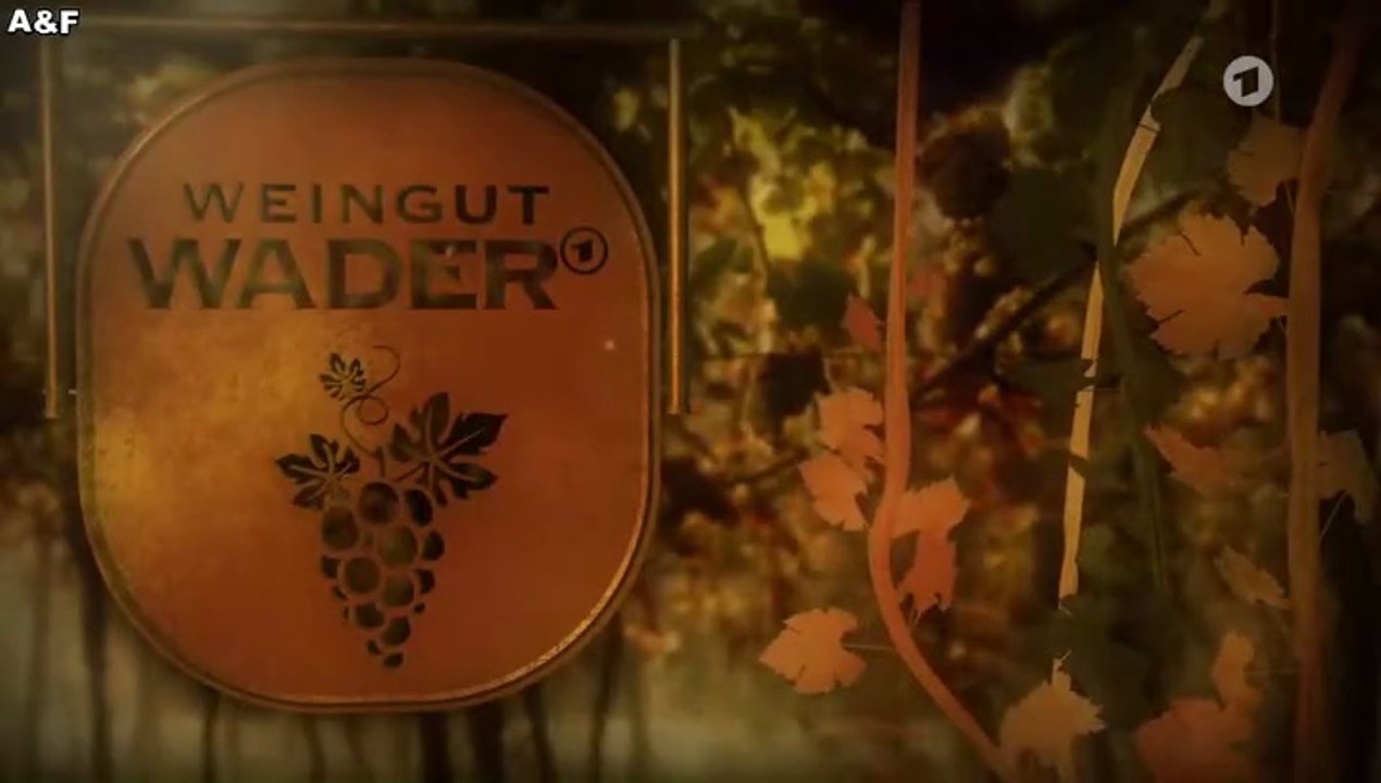 Weingut Wader -01- Die Erbschaft