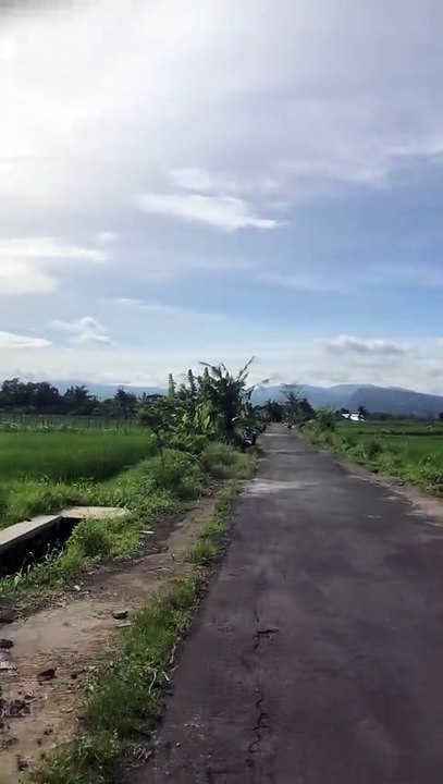 Kalasan