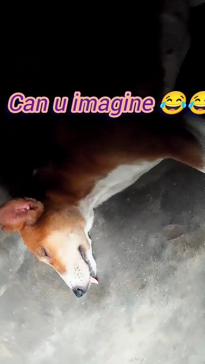 Imagine 🤣🤣🤣