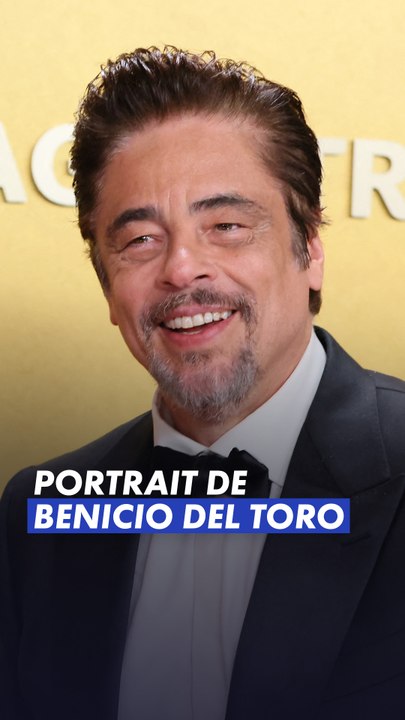 Vous connaissez Benicio Del Toro ? Non ? Pas de souci, on vous explique pourquoi c'est le BOSS