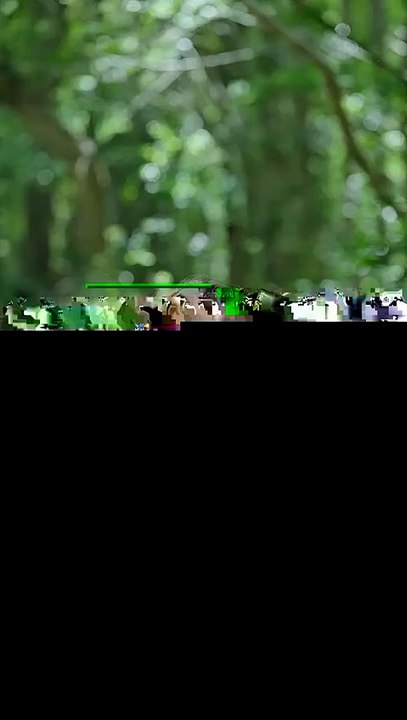 I was a beggar girl until I saved the Governor's soul. Now, flowers bloom wherever I walk!