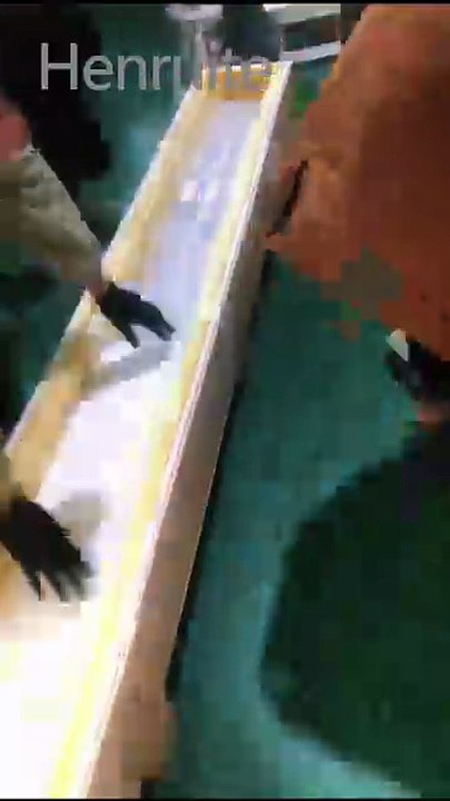 480mm 235v 2000w Infrared Quartz Heat Lamp with X-Clips for PET Blow Machines