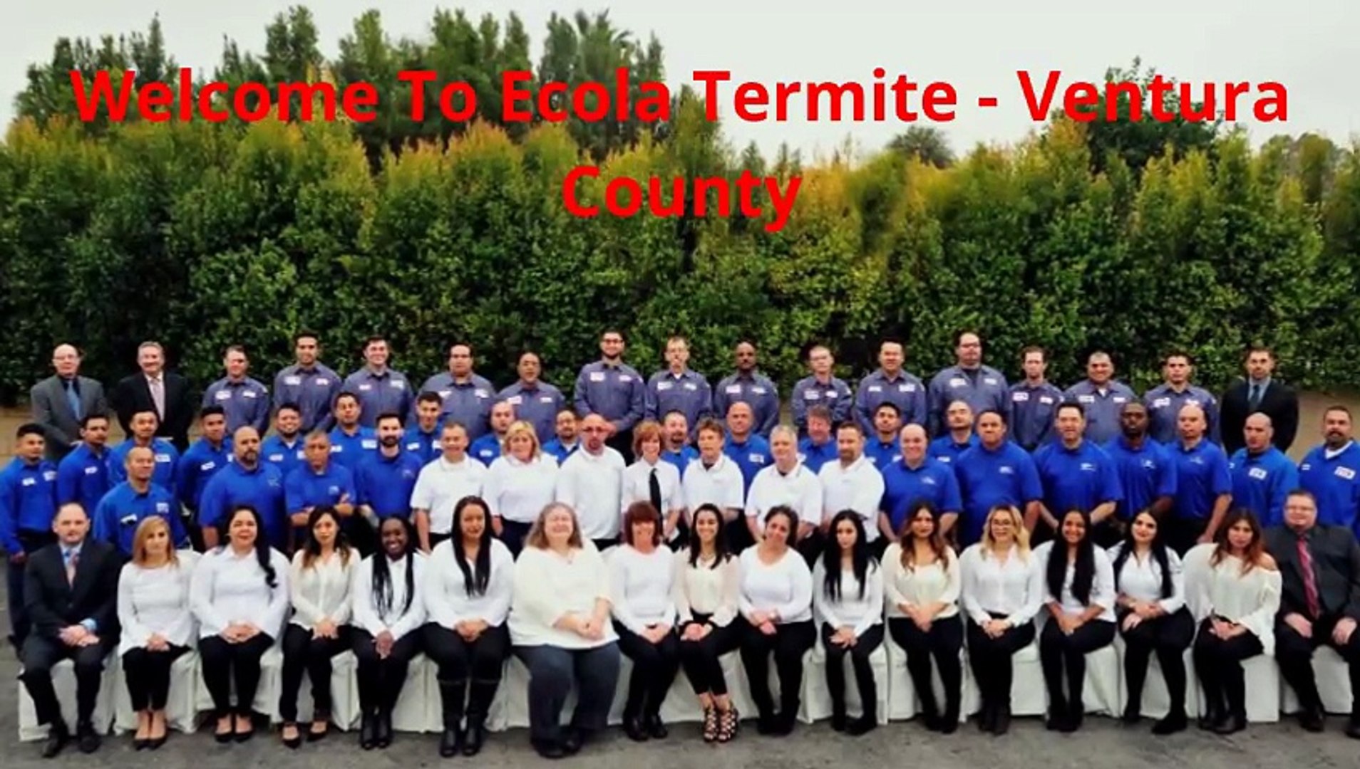 Ecola Termite Inspection in Ventura, CA