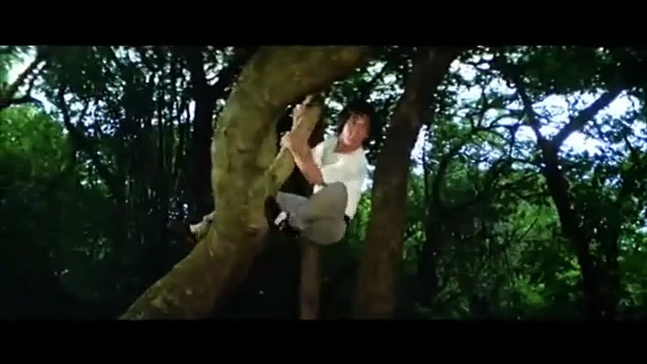 The Drunken Master - Jackie Chan