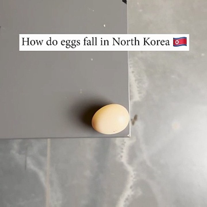 Did you crack up for this 🥚😂